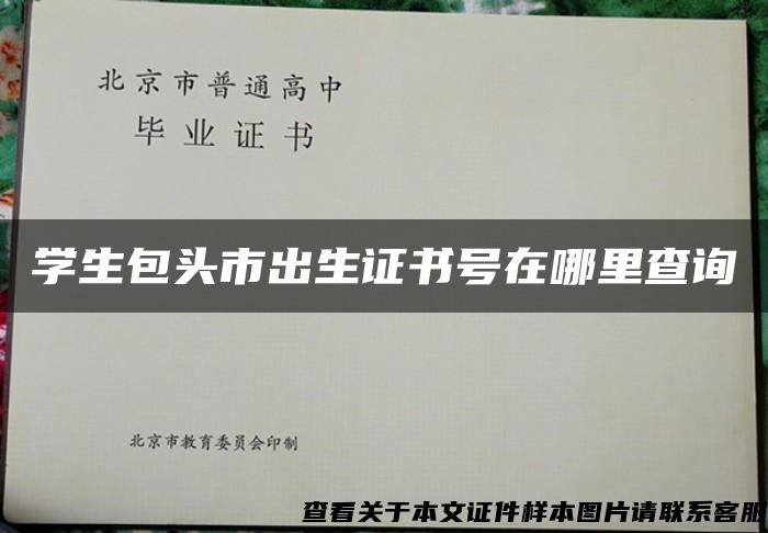 学生包头市出生证书号在哪里查询