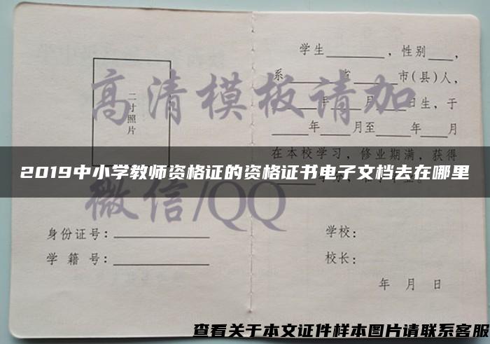 2019中小学教师资格证的资格证书电子文档去在哪里