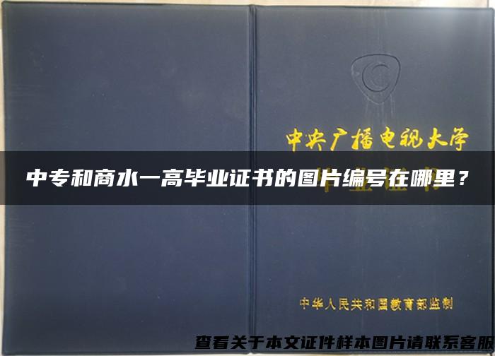 中专和商水一高毕业证书的图片编号在哪里？