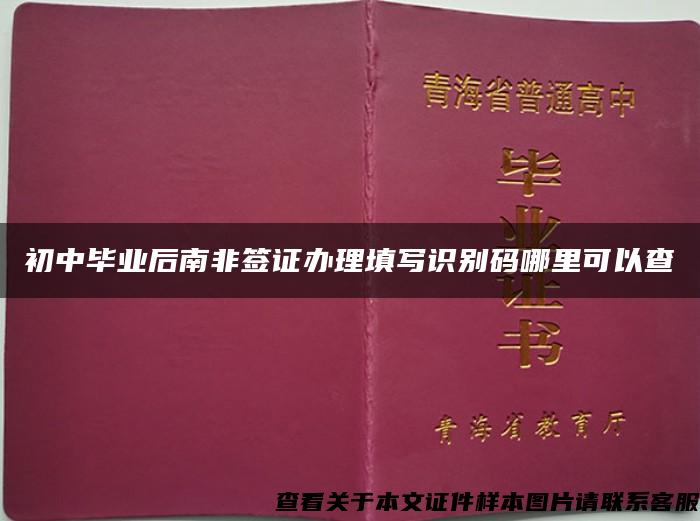 初中毕业后南非签证办理填写识别码哪里可以查