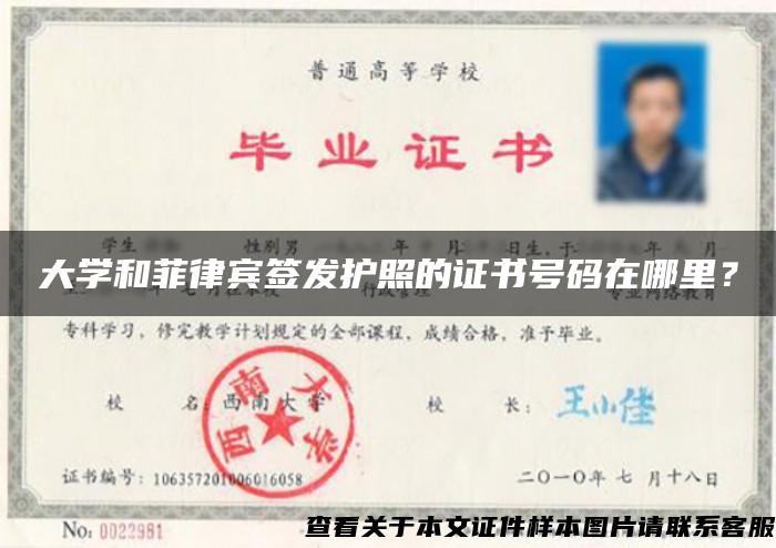 大学和菲律宾签发护照的证书号码在哪里？