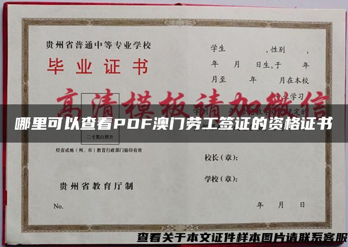 哪里可以查看PDF澳门劳工签证的资格证书