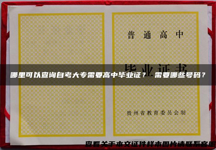 哪里可以查询自考大专需要高中毕业证？ 需要哪些号码？