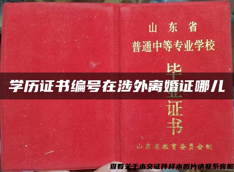 学历证书编号在涉外离婚证哪儿