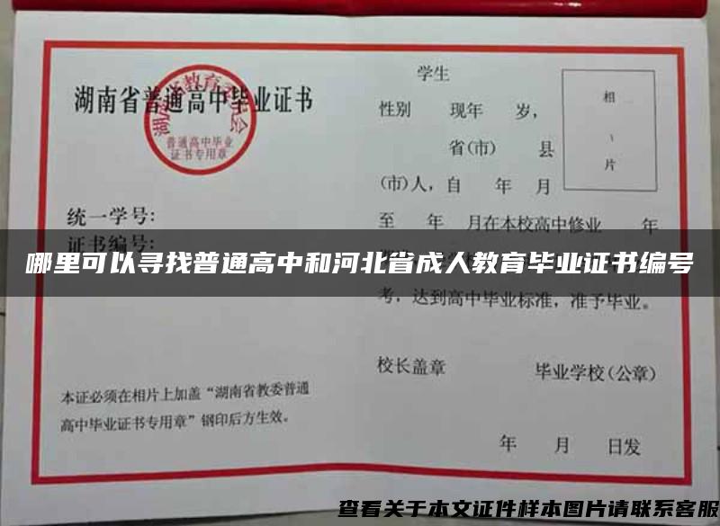 哪里可以寻找普通高中和河北省成人教育毕业证书编号