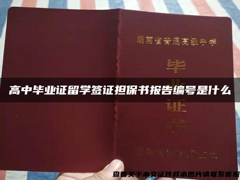 高中毕业证留学签证担保书报告编号是什么