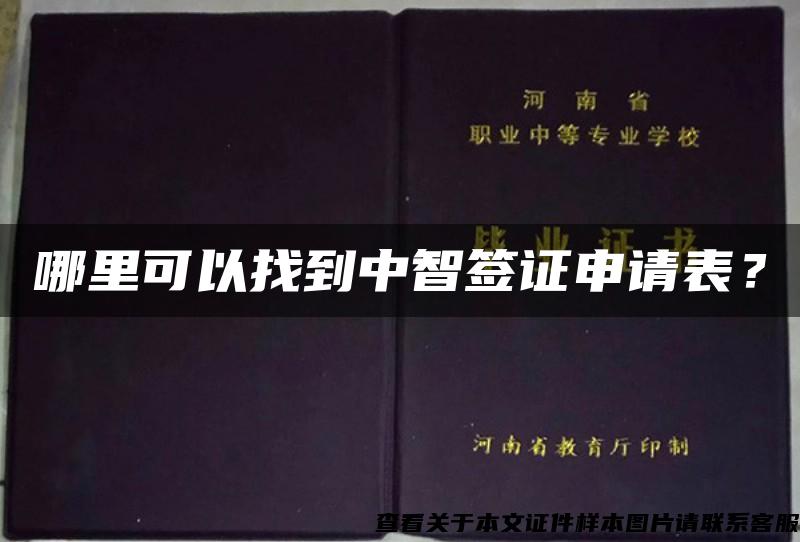 哪里可以找到中智签证申请表？