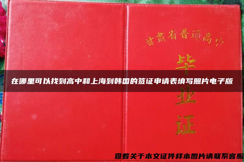 在哪里可以找到高中和上海到韩国的签证申请表填写照片电子版