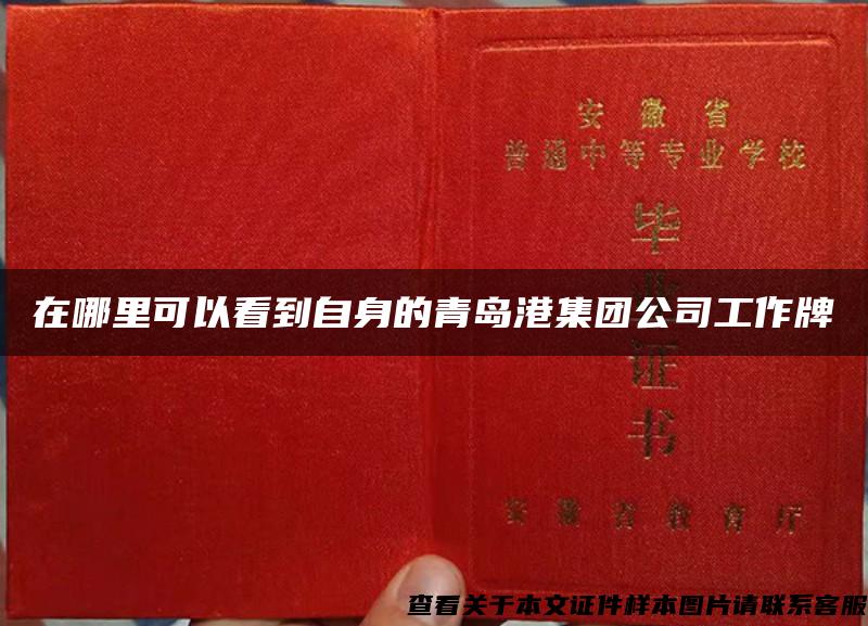 在哪里可以看到自身的青岛港集团公司工作牌