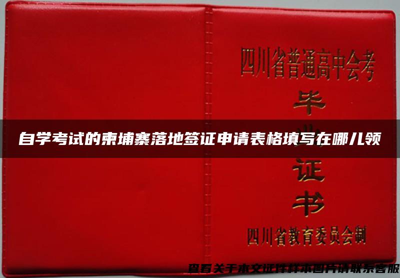 自学考试的柬埔寨落地签证申请表格填写在哪儿领