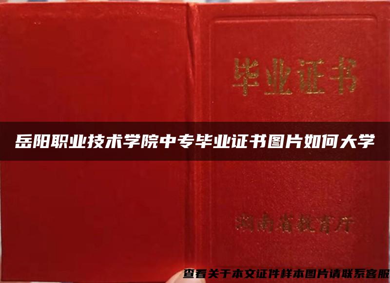 岳阳职业技术学院中专毕业证书图片如何大学