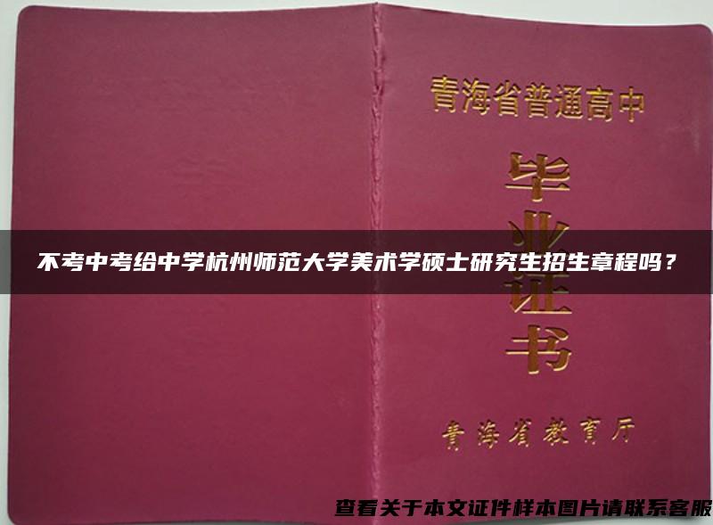 不考中考给中学杭州师范大学美术学硕士研究生招生章程吗？