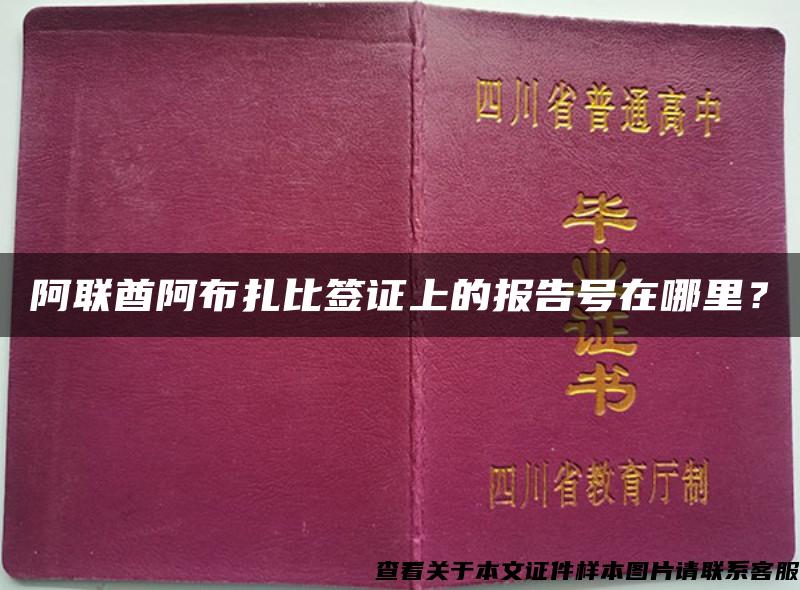 阿联酋阿布扎比签证上的报告号在哪里？