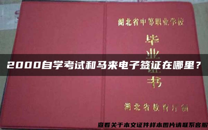 2000自学考试和马来电子签证在哪里？