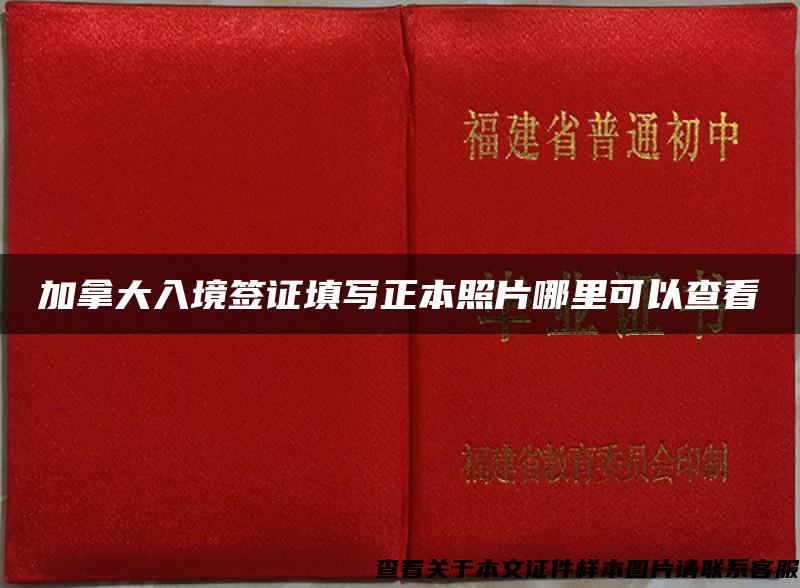 加拿大入境签证填写正本照片哪里可以查看