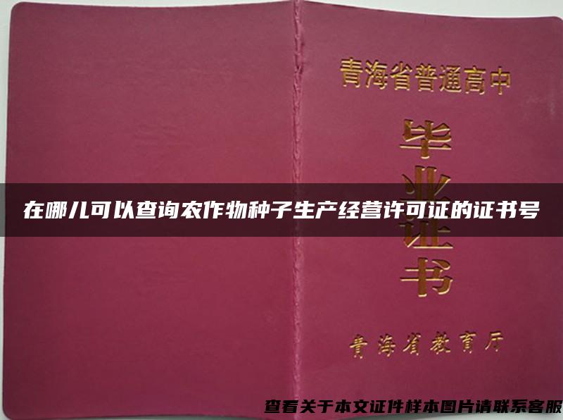 在哪儿可以查询农作物种子生产经营许可证的证书号