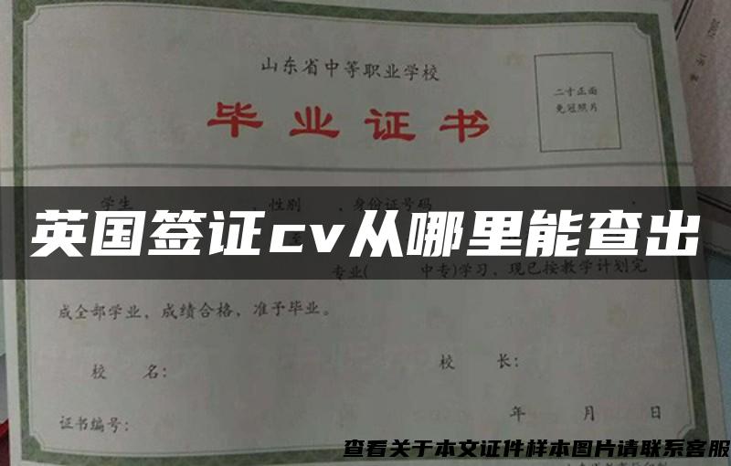 英国签证cv从哪里能查出