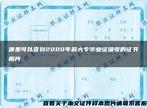 哪里可以查到2000年前大专毕业证编号的证书相片