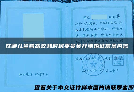 在哪儿查看高校和村民委员会开结婚证信息内容