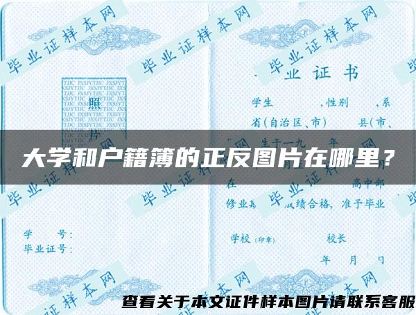 大学和户籍簿的正反图片在哪里？