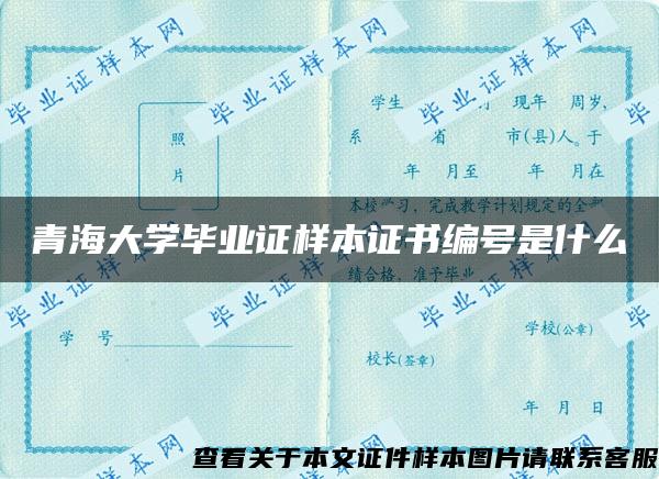 青海大学毕业证样本证书编号是什么