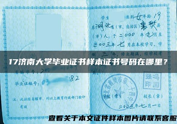 17济南大学毕业证书样本证书号码在哪里？