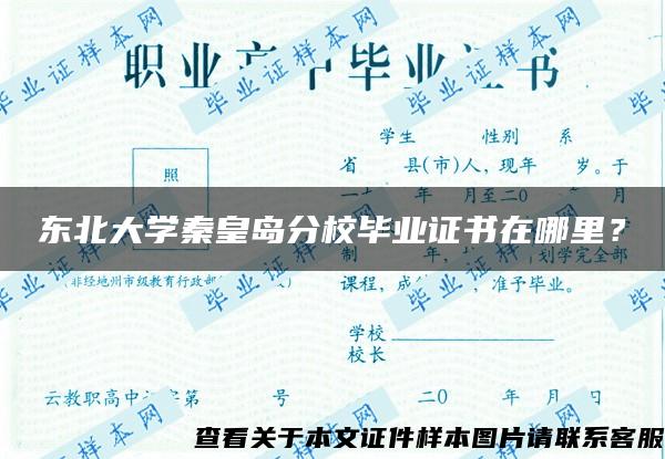 东北大学秦皇岛分校毕业证书在哪里？