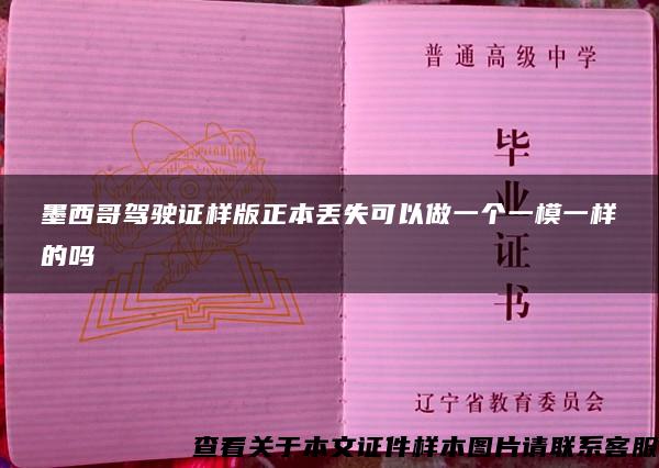 墨西哥驾驶证样版正本丢失可以做一个一模一样的吗