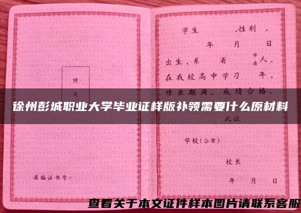 徐州彭城职业大学毕业证样版补领需要什么原材料