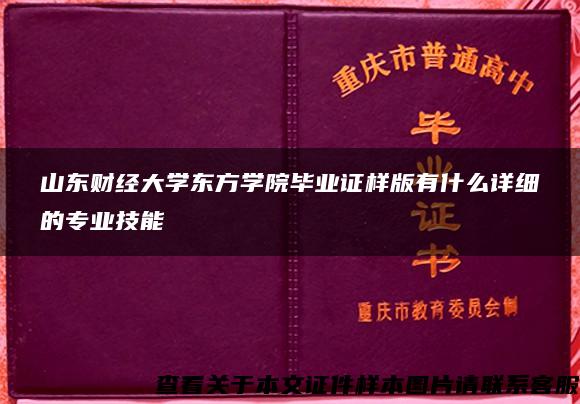 山东财经大学东方学院毕业证样版有什么详细的专业技能