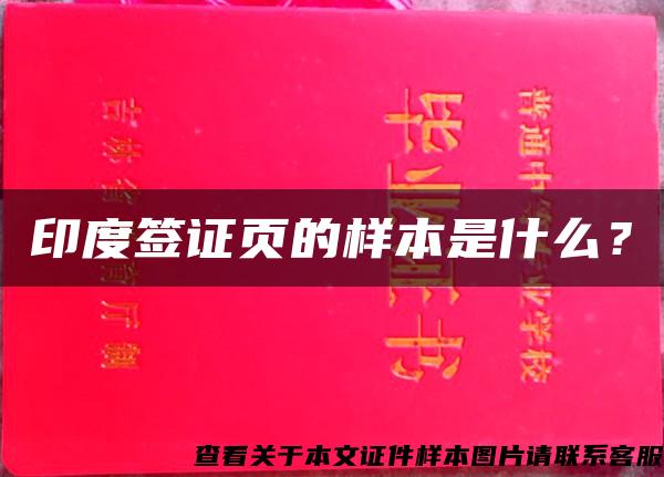 印度签证页的样本是什么？