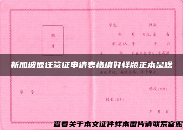 新加坡返迁签证申请表格填好样版正本是啥