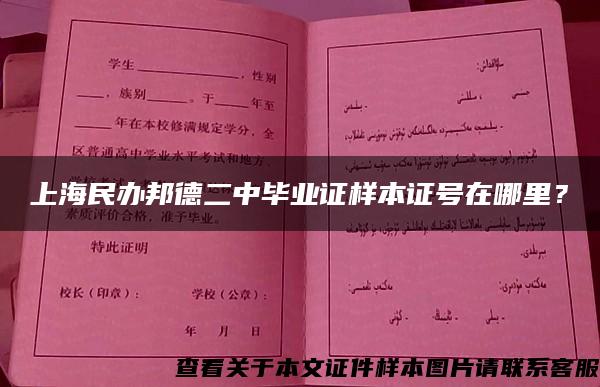 上海民办邦德二中毕业证样本证号在哪里？