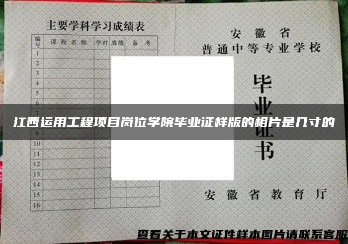 江西运用工程项目岗位学院毕业证样版的相片是几寸的