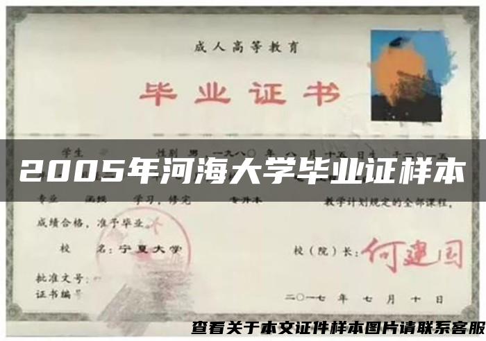 2005年河海大学毕业证样本