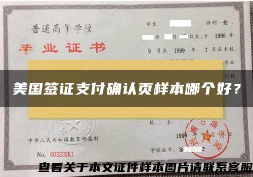 美国签证支付确认页样本哪个好？