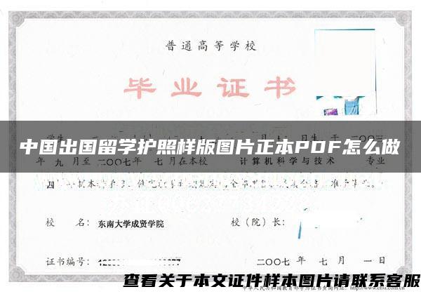 中国出国留学护照样版图片正本PDF怎么做