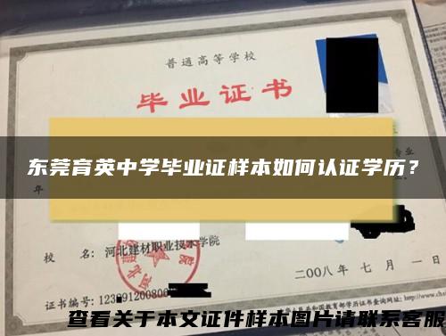 东莞育英中学毕业证样本如何认证学历？