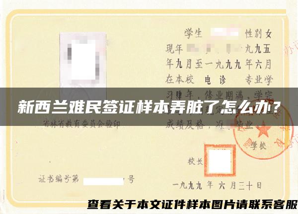 新西兰难民签证样本弄脏了怎么办？