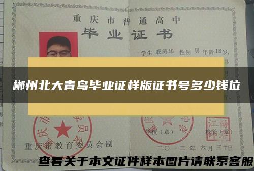 郴州北大青鸟毕业证样版证书号多少钱位