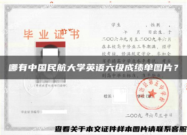 哪有中国民航大学英语六级成绩单图片？