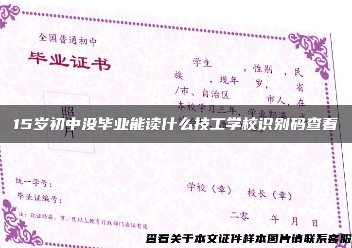 15岁初中没毕业能读什么技工学校识别码查看