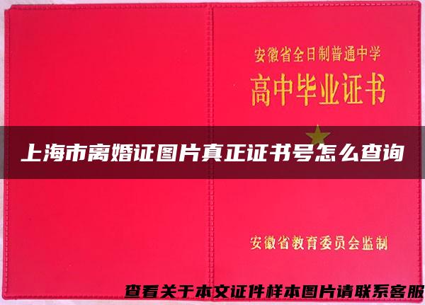 上海市离婚证图片真正证书号怎么查询