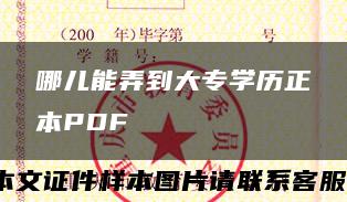 哪儿能弄到大专学历正本PDF