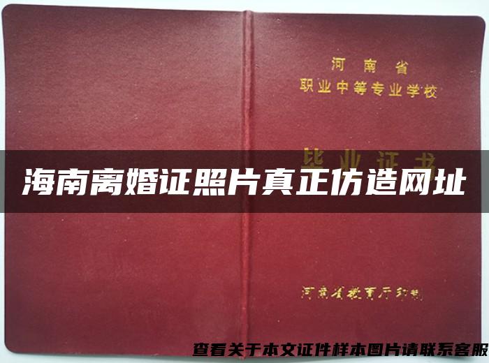 海南离婚证照片真正仿造网址