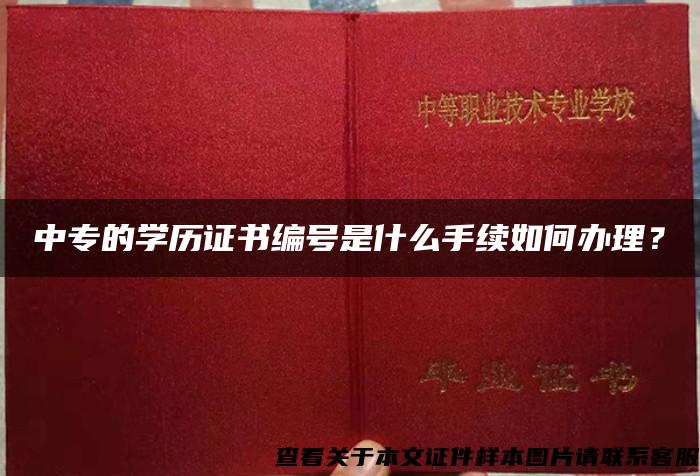 中专的学历证书编号是什么手续如何办理？