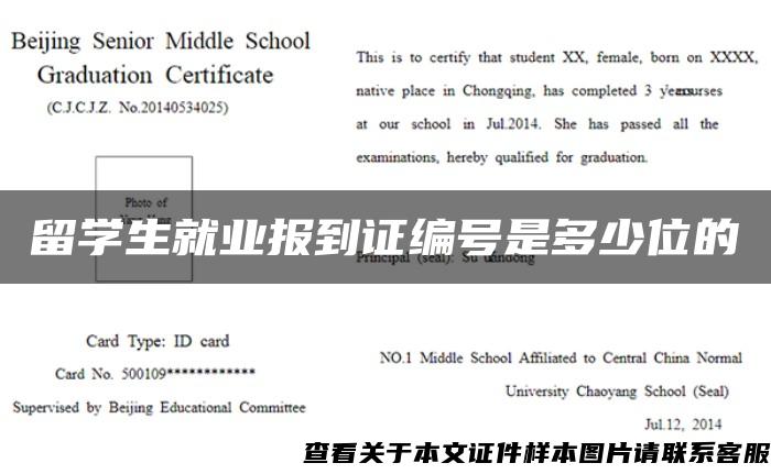 留学生就业报到证编号是多少位的