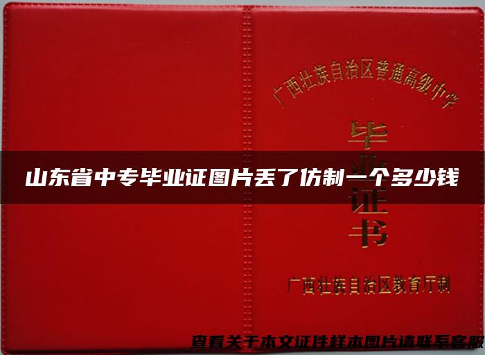 山东省中专毕业证图片丢了仿制一个多少钱