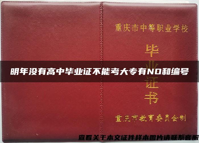 明年没有高中毕业证不能考大专有NO和编号