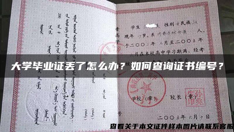 大学毕业证丢了怎么办？如何查询证书编号？